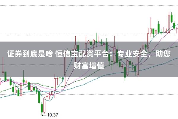 证券到底是啥 恒信宝配资平台：专业安全，助您财富增值