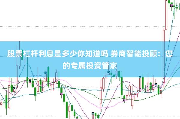 股票杠杆利息是多少你知道吗 券商智能投顾：您的专属投资管家