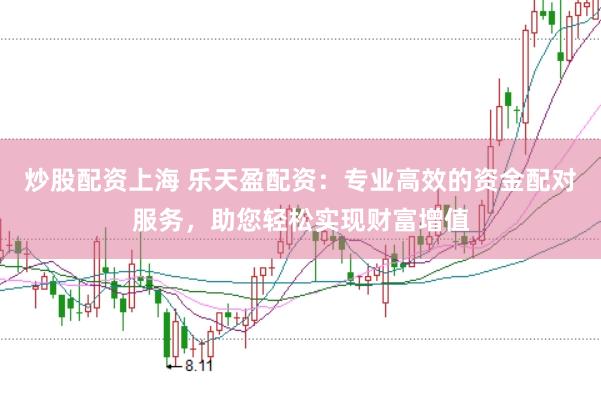 炒股配资上海 乐天盈配资：专业高效的资金配对服务，助您轻松实现财富增值