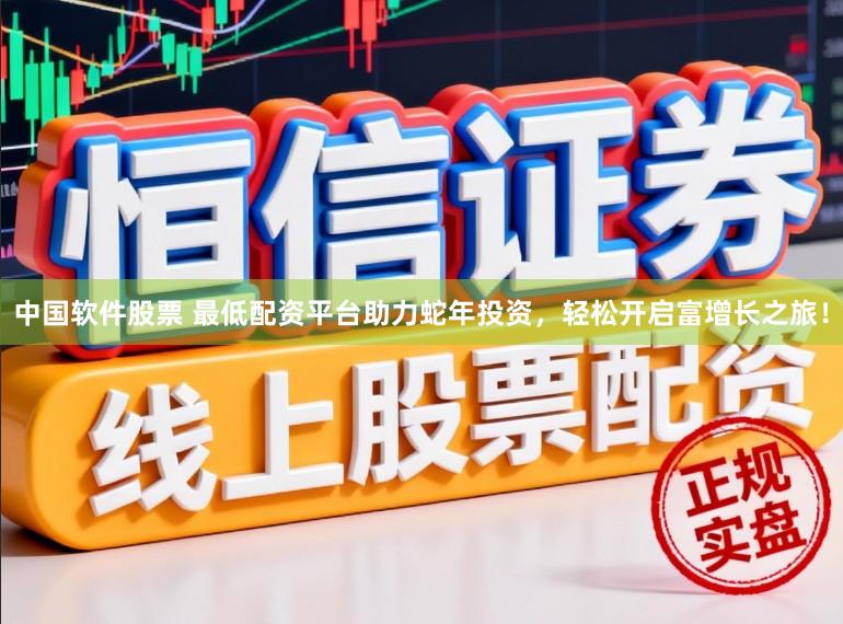 中国软件股票 最低配资平台助力蛇年投资，轻松开启富增长之旅！