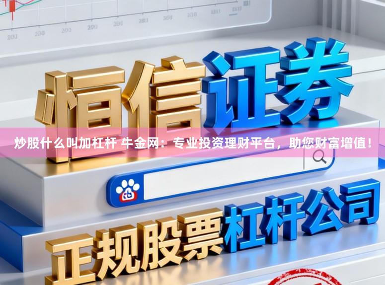 炒股什么叫加杠杆 牛金网：专业投资理财平台，助您财富增值！